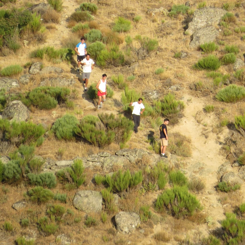 Espíritu de Montaña